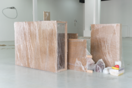 STUDIO EVA HOONHOUT