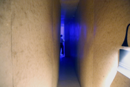 STUDIO EVA HOONHOUT