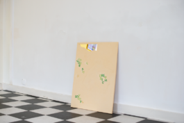 STUDIO EVA HOONHOUT